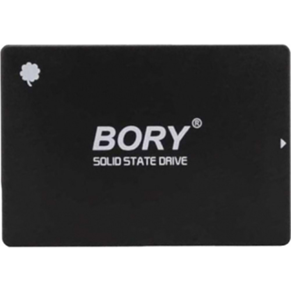 256GB BORY SATA3 R500-C256G SSD 550/510 MBS